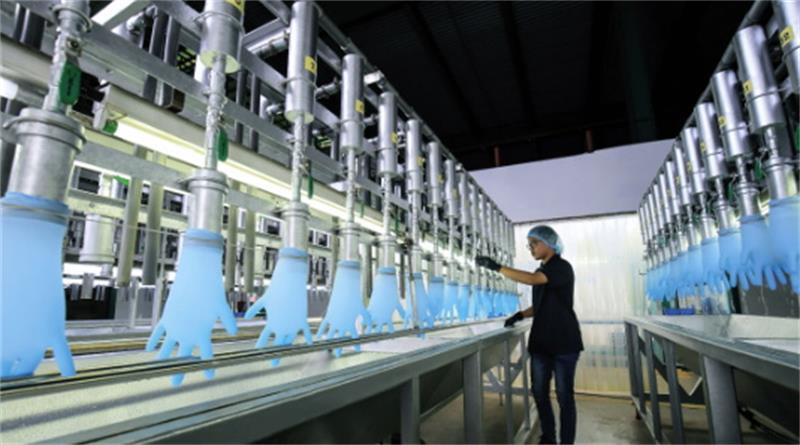 Manufacturing of latex gloves and nitrile gloves