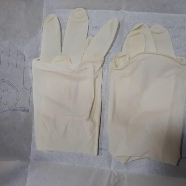 Surgical Gloves