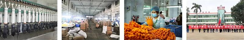 Disposable nitrile gloves and disposable latex gloves factory