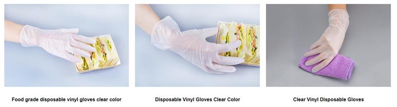 Disposable Vinyl (PVC) Gloves