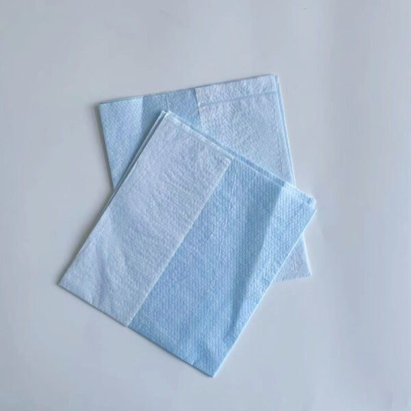 Disposable Adult Bibs